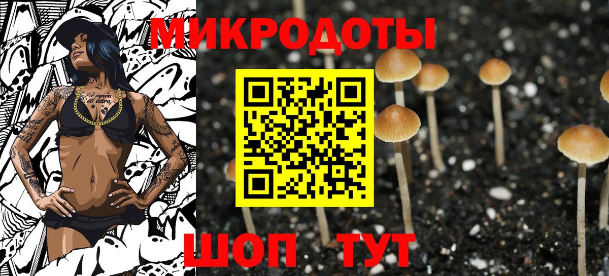 Галлюциногенные грибы GOLDEN TEACHER Протвино