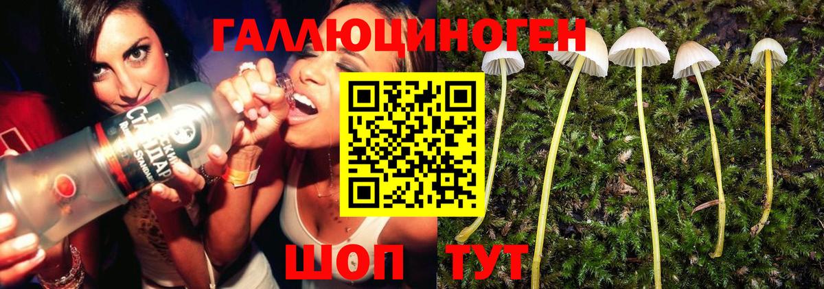 Псилоцибиновые грибы Psilocybe  Вход с VPN  сколько стоит  Протвино 
